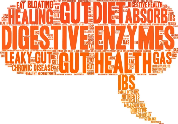 Enzimas digestivas Word Cloud —  Vetores de Stock