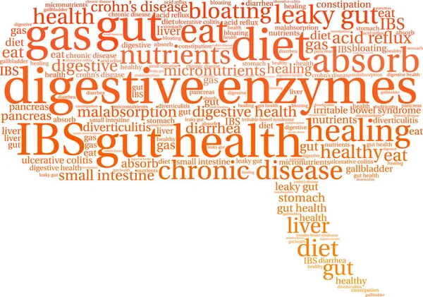 Enzimas Digestivas Nube de Palabras — Vector de stock