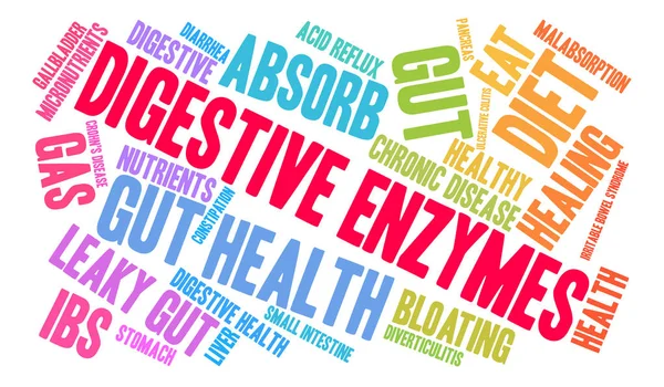 Enzymes digestives Word Cloud — Image vectorielle