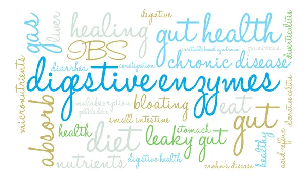 Enzymes digestives Word Cloud — Image vectorielle