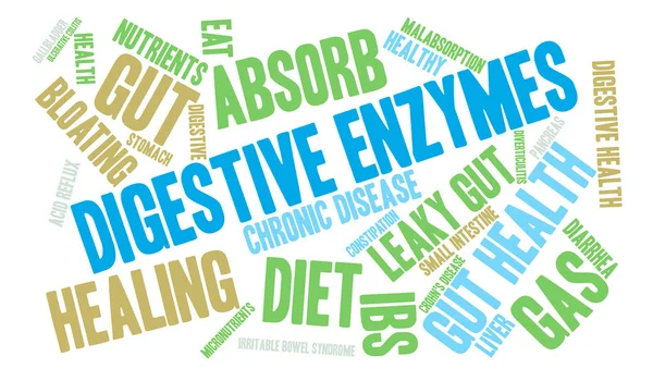 Enzimi digestivi Word Cloud — Vettoriale Stock