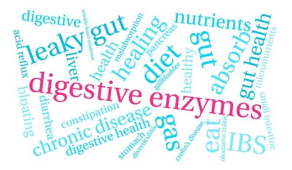 Enzymes digestives Word Cloud — Image vectorielle