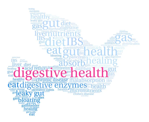 Saúde digestiva Word Cloud —  Vetores de Stock