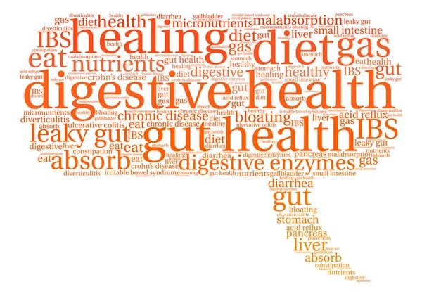 Santé digestive Word Cloud — Image vectorielle