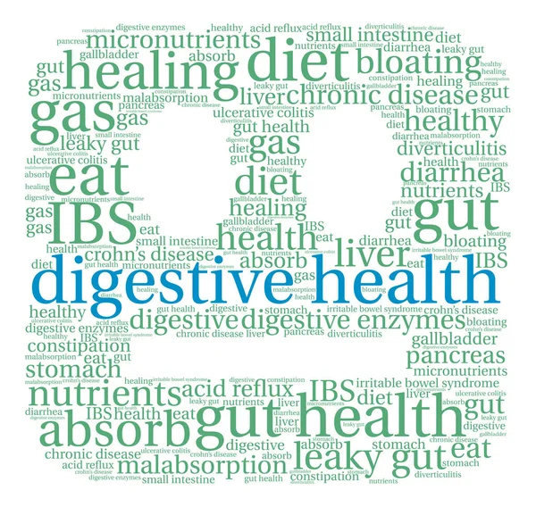 Santé digestive Word Cloud — Image vectorielle