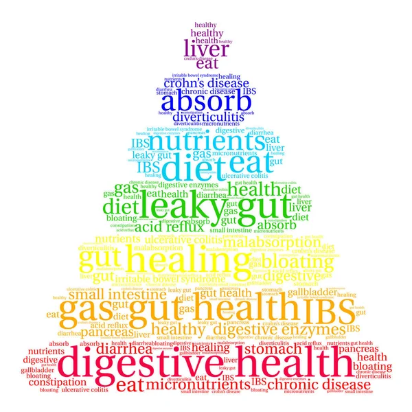 Nube de palabras de salud digestiva — Vector de stock