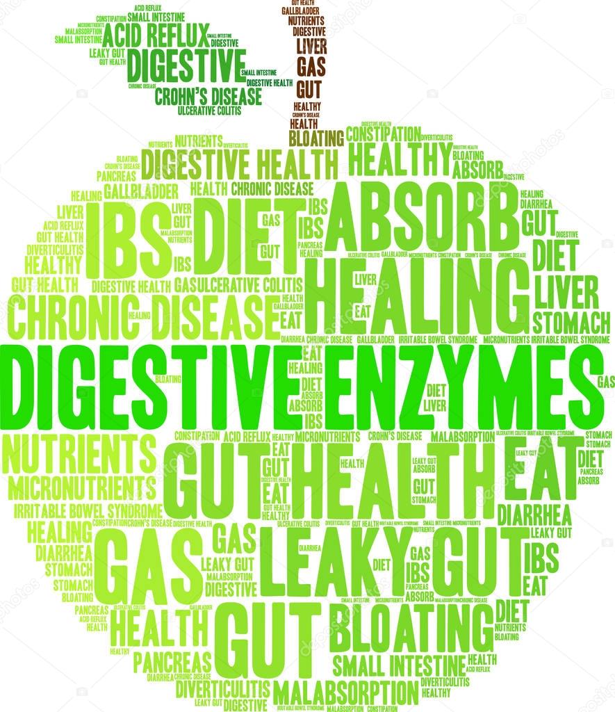 Digestive Enzymes Word Cloud