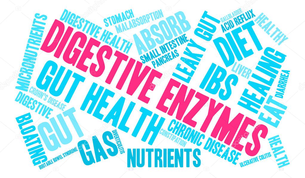Digestive Enzymes Word Cloud
