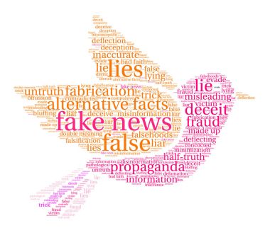 Sahte haber kelime bulutu