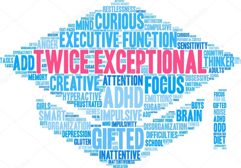 Twice Exceptional Word Cloud