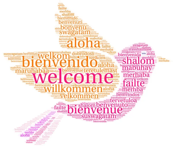 International Welcome Word Cloud — Stock Vector