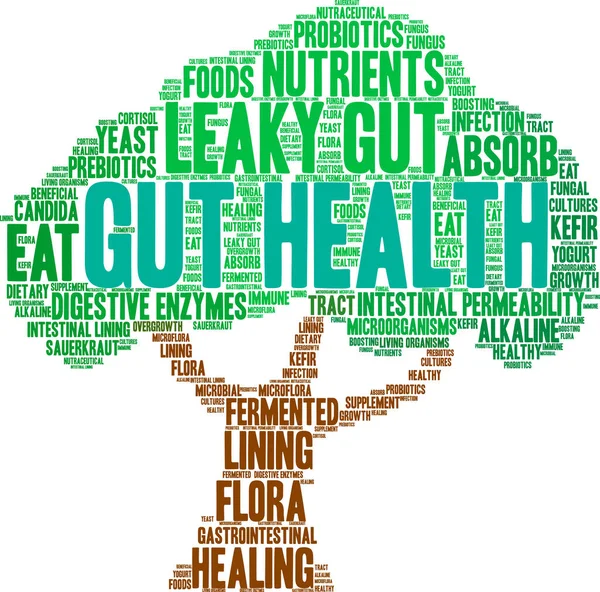 Gut Health Word Cloud – stockvektor