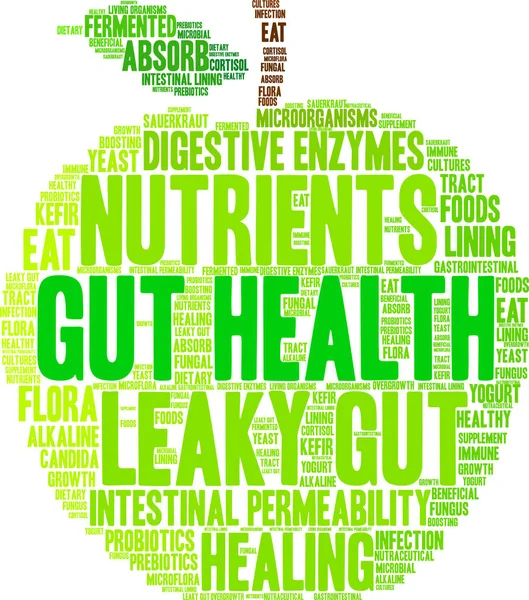 Nube de palabra de salud intestinal — Vector de stock