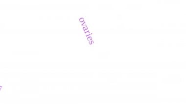 Beyaz bir arka plan üzerinde östrojen kelime bulutu.