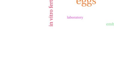 IVF kelime bulut beyaz bir arka plan üzerinde.