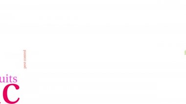 Beyaz arka planda organik kelime bulutu.