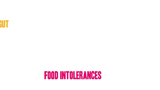 Intolérances Alimentaires Mot Nuage Sur Fond Blanc — Video