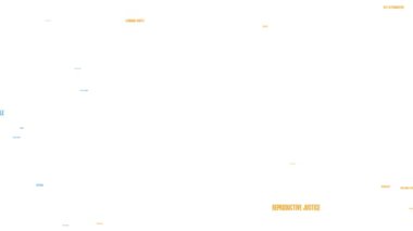 Beyaz arkaplandaki Pro-Choice kelime bulutu.