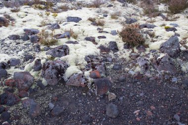 Siyah volkanik kayalar