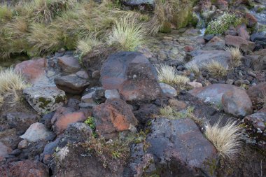 Siyah volkanik kayalar