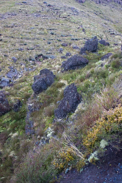 Pedras vulcânicas negras — Fotografia de Stock