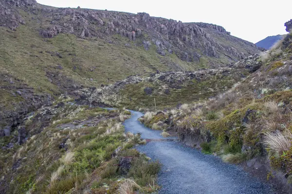 tongariro dağ geçidi