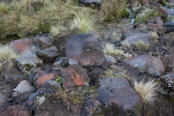 Siyah volkanik kayalar