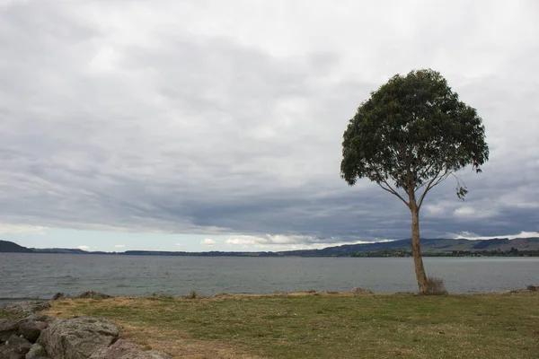 Rotorua lake landschap — Stockfoto