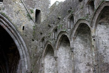 Cashel kaya: içinde görünüm Katedrali Harabeleri