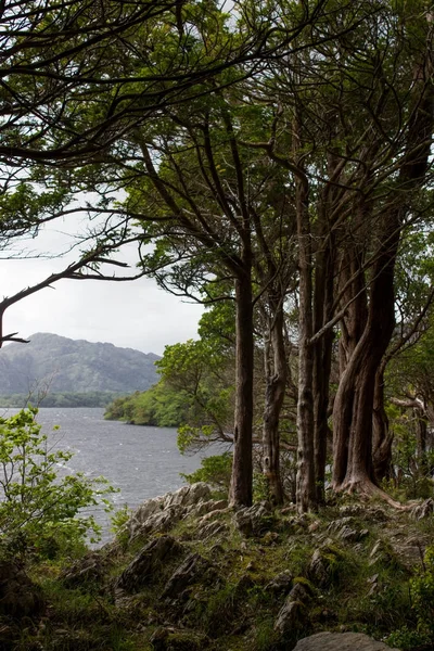 Krajobraz jeziora Kllarney — Zdjęcie stockowe