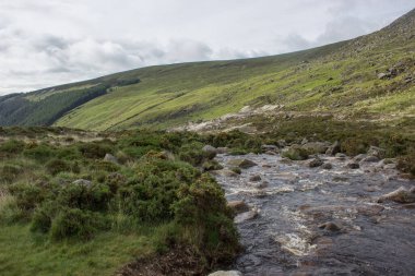 Wicklow Dağları (İrlanda) manzarası
