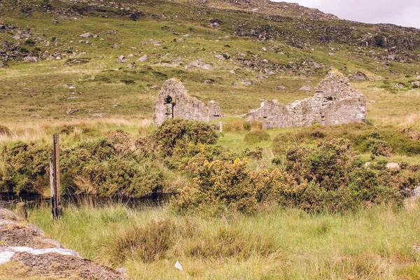 Weidengebirgslandschaft (Irland) — Stockfoto