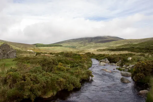Wicklow Dağları (İrlanda) manzarası — Stok fotoğraf