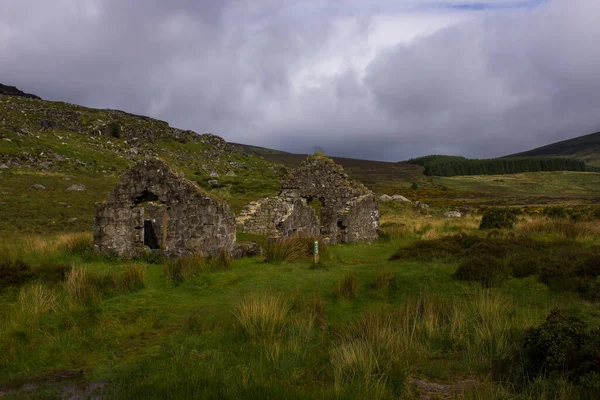 Weidengebirgslandschaft (Irland) — Stockfoto