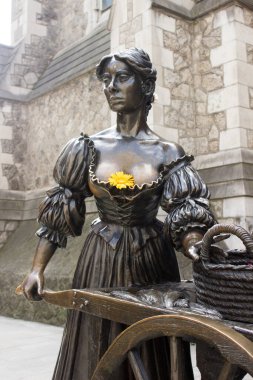 Dublin 'de, İrlanda' da çiçekli korse.