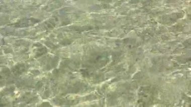 Deniz suyu güneş ışığı altında akan