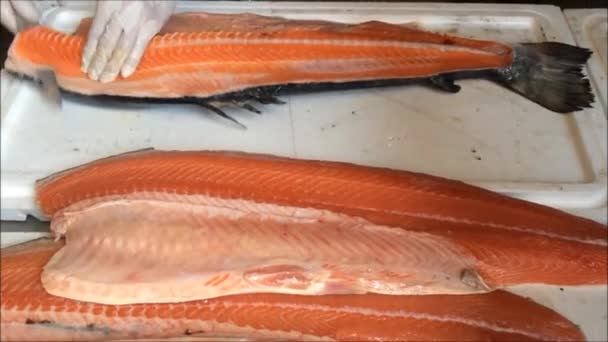 Filleting Salmon on the table — Stock Video