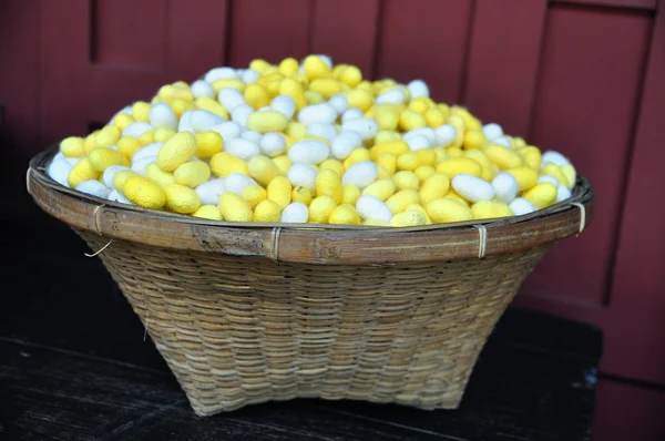 Cocoons of silkworm for making silk in asia — Stok Foto