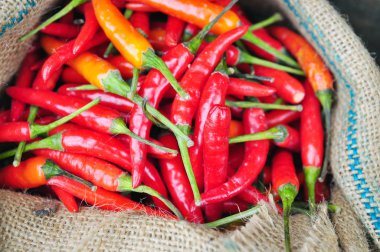 Kırmızı sıcak taze biber biber çuvala içinde