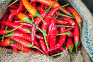 Kırmızı sıcak taze biber biber çuvala içinde
