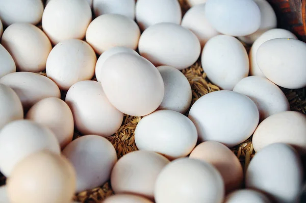 Vit kyckling ägg i Asien — Stockfoto