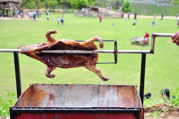 Grilling whole pig on hot charcoal in village in vietnam — Stock Photo, Image