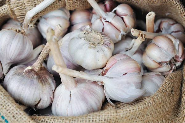 Gedroogde hele knoflook in jute zak in Azië — Stockfoto