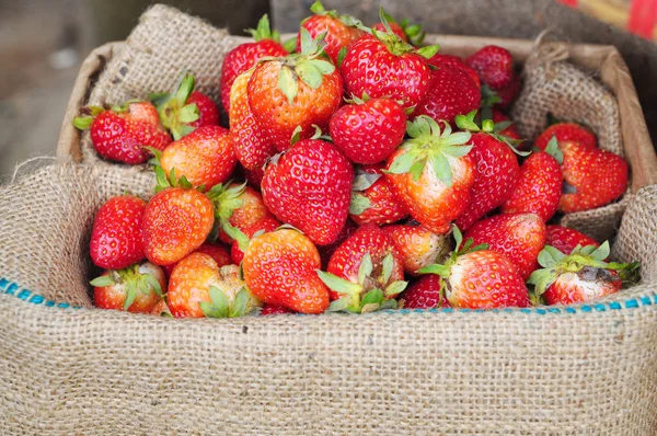 Fresas rojas frescas en saco de arpillera —  Fotos de Stock