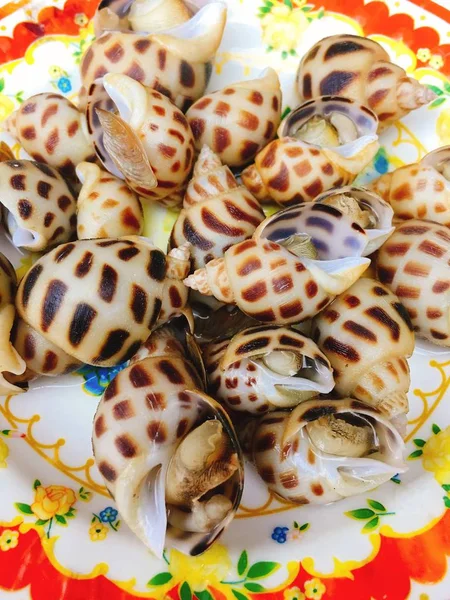 在越南的街头小吃菜蒸的贝壳 — 图库照片