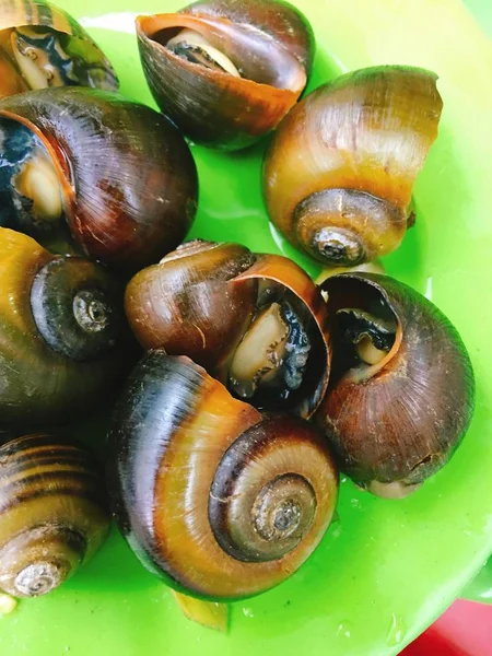 Escargots cuits à la vapeur vietnamiens sur le plat pour la nourriture de rue — Photo