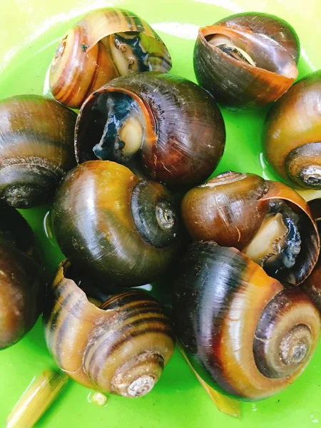 Escargots cuits à la vapeur vietnamiens sur le plat pour la nourriture de rue — Photo