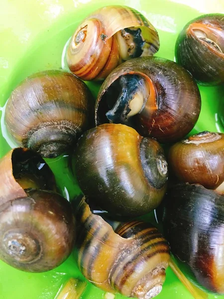 Escargots cuits à la vapeur vietnamiens sur le plat pour la nourriture de rue — Photo