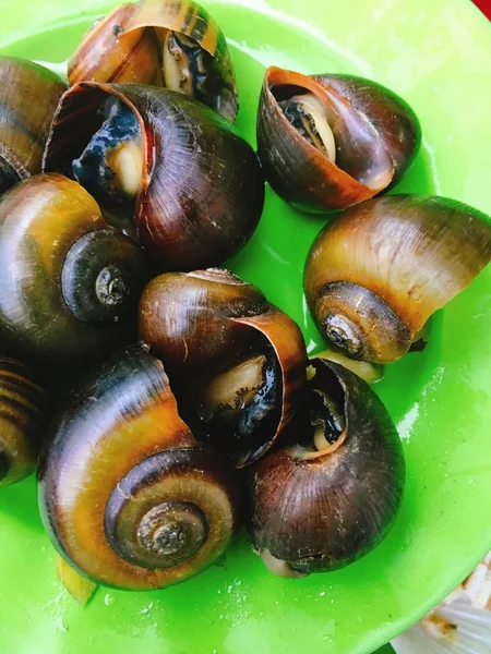 越南蒸上街头食品做这道菜的蜗牛 — 图库照片