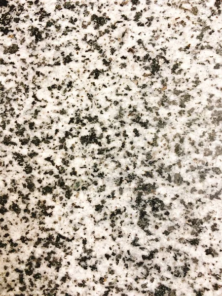 Каменная текстура в черно-белом горшке — стоковое фото